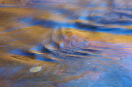 Abstract;Abstractions;Autumn;Big South Fork National Recreation Area;Blue;Brook;Creek;Fall;Foliage;Gold;Leaf;Leafy;Leaves;Patterns;Pine;Red;Reflection;Reflections;River;River Bed;Riverbed;Rivers;Shapes;Stream;Tennessee;Textures;Vein;water;Water;waterway;Yellow